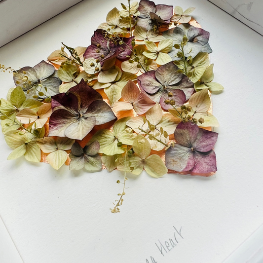 Hydrangea Heart