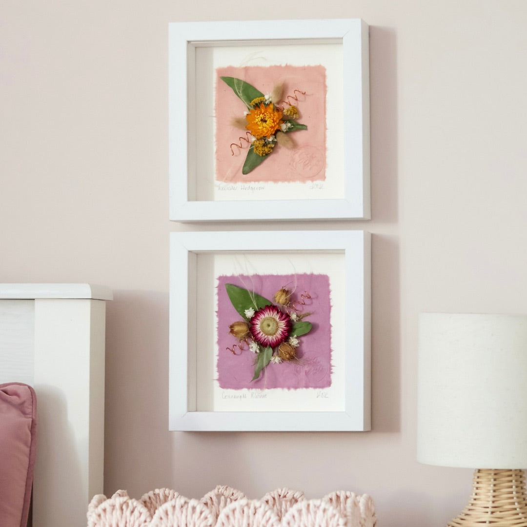 Connaught Blooms