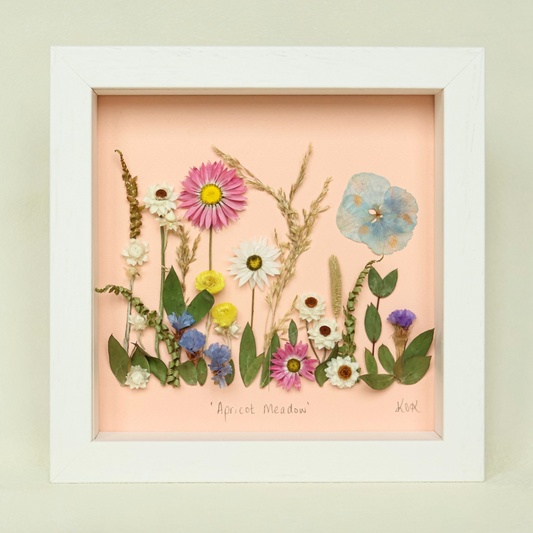 Apricot Meadow