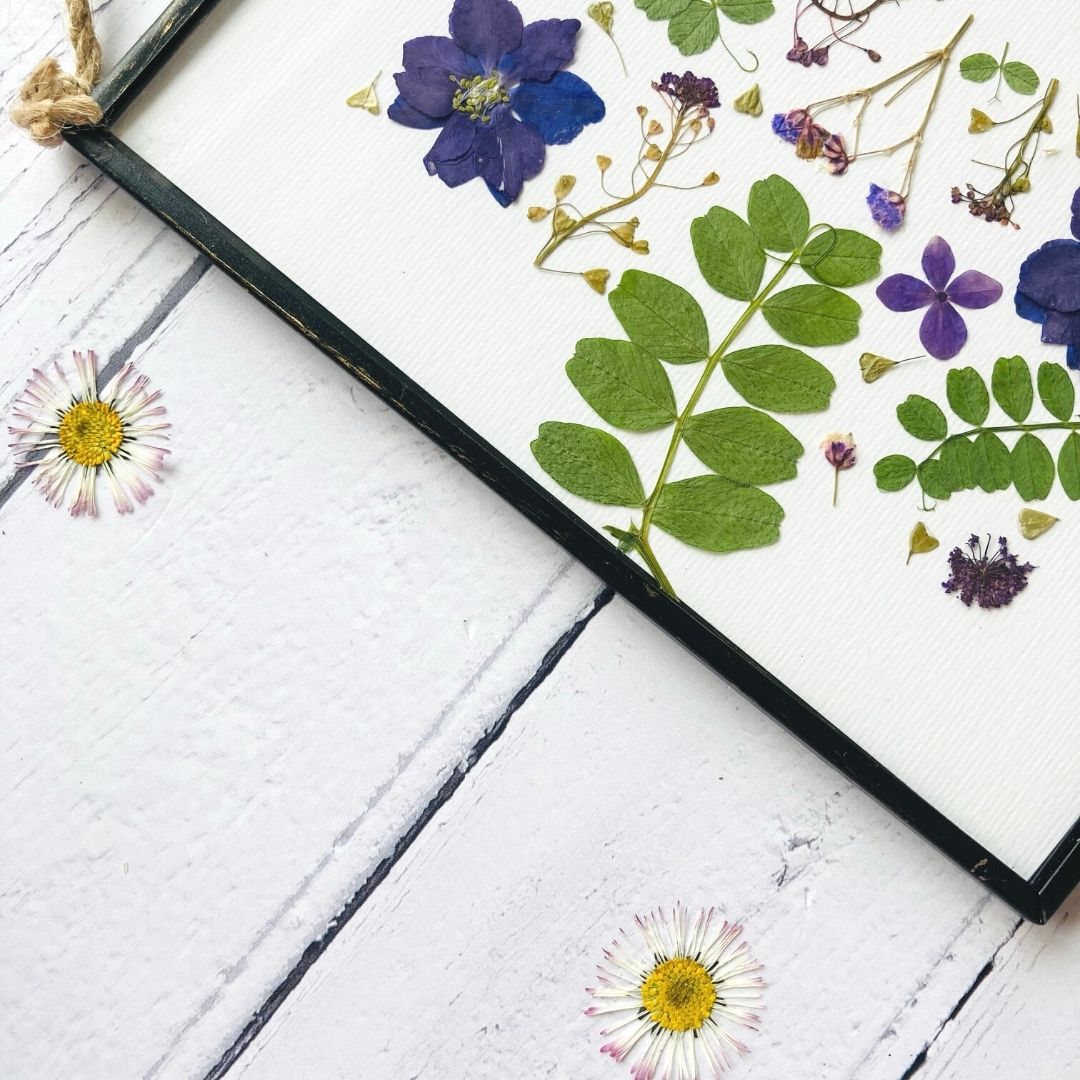 Linen White Pressed Flower