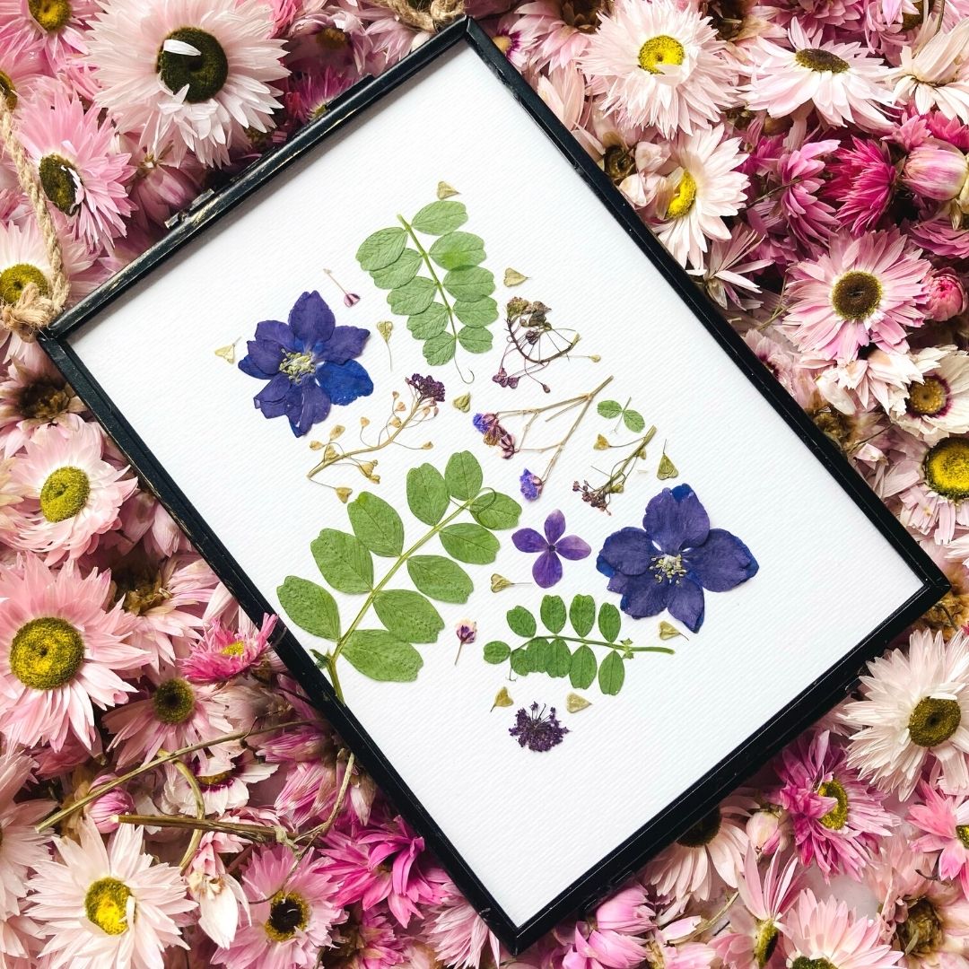 Linen White Pressed Flower