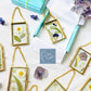 Petite Botanical Herbarium