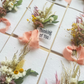 Posy Plantable Keepsake Card