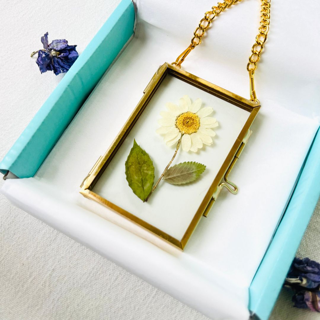 Petite Botanical Herbarium