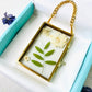 Petite Botanical Herbarium
