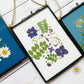 Linen White Pressed Flower