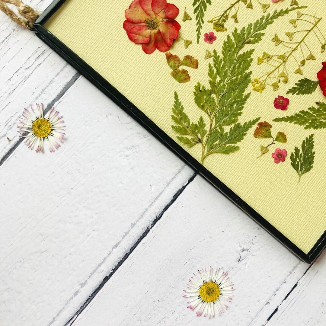 Buttercream Pressed Flower