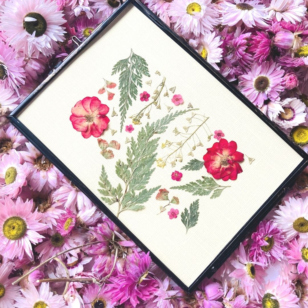 Buttercream Pressed Flower